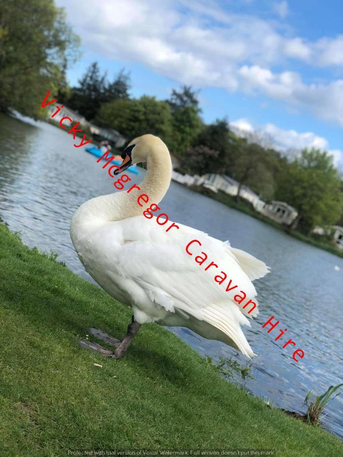 מלון Berwick Upon Tweed Haggerston Castle Tower Lawn Hire מראה חיצוני תמונה